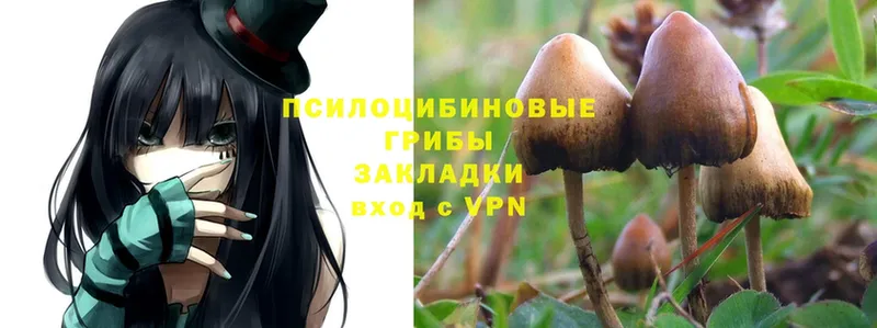 Псилоцибиновые грибы MAGIC MUSHROOMS  мега   Тара 